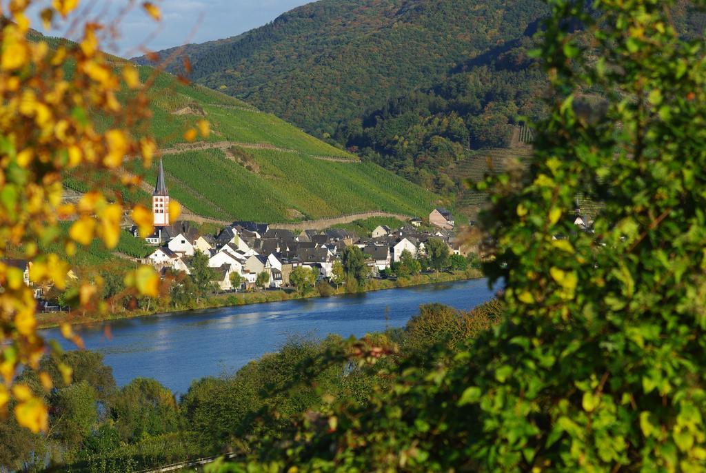 Ferienwohnung Tilli Zell an der Mosel Exterior photo